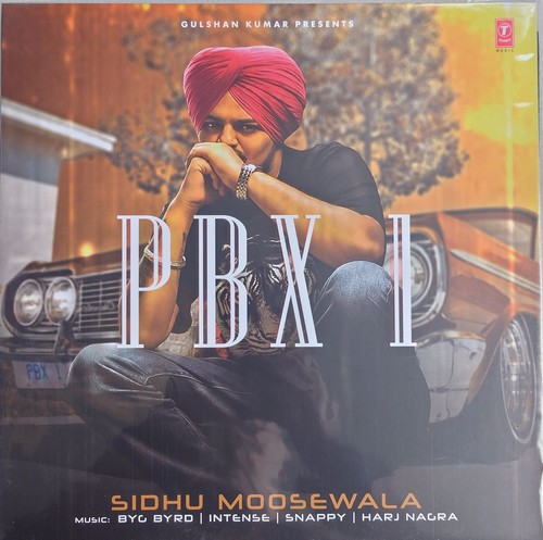 Punjabi new vinyl sidhu - punjabi,
