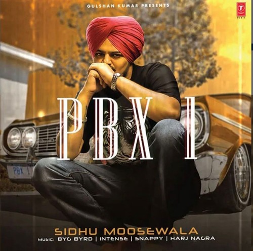 Record punjabi vinyl sidhu - lp,