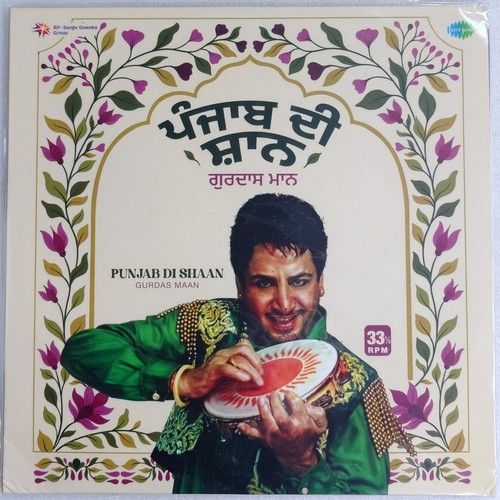 Punjabi new vinyl - punjabi, punjab